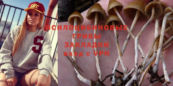 apvp Белоозёрский