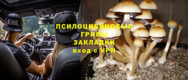 круглые Белокуриха