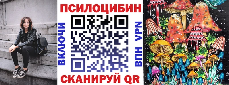 сколько стоит Борзя Псилоцибиновые грибы Psilocybe
